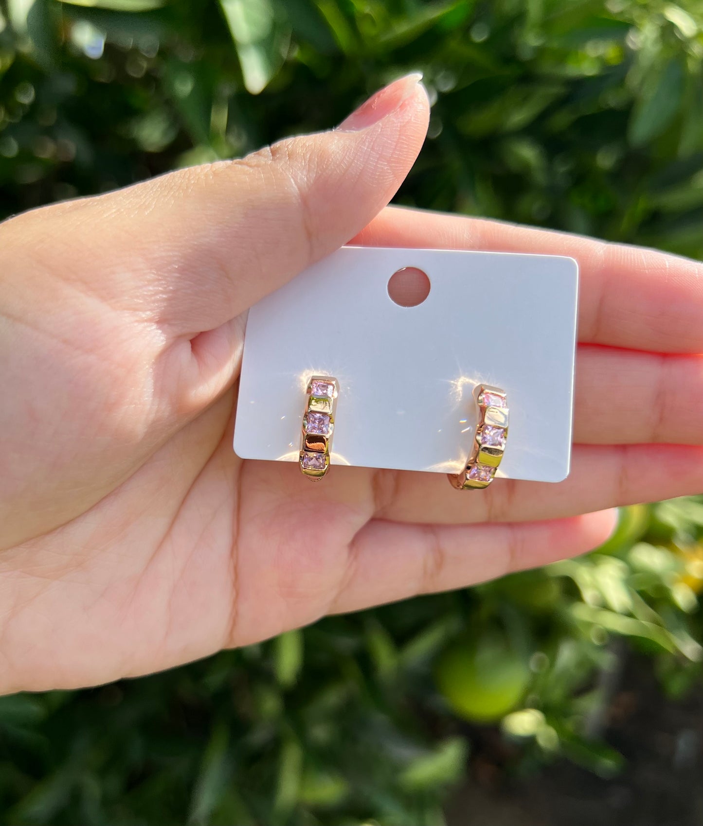 Earrings