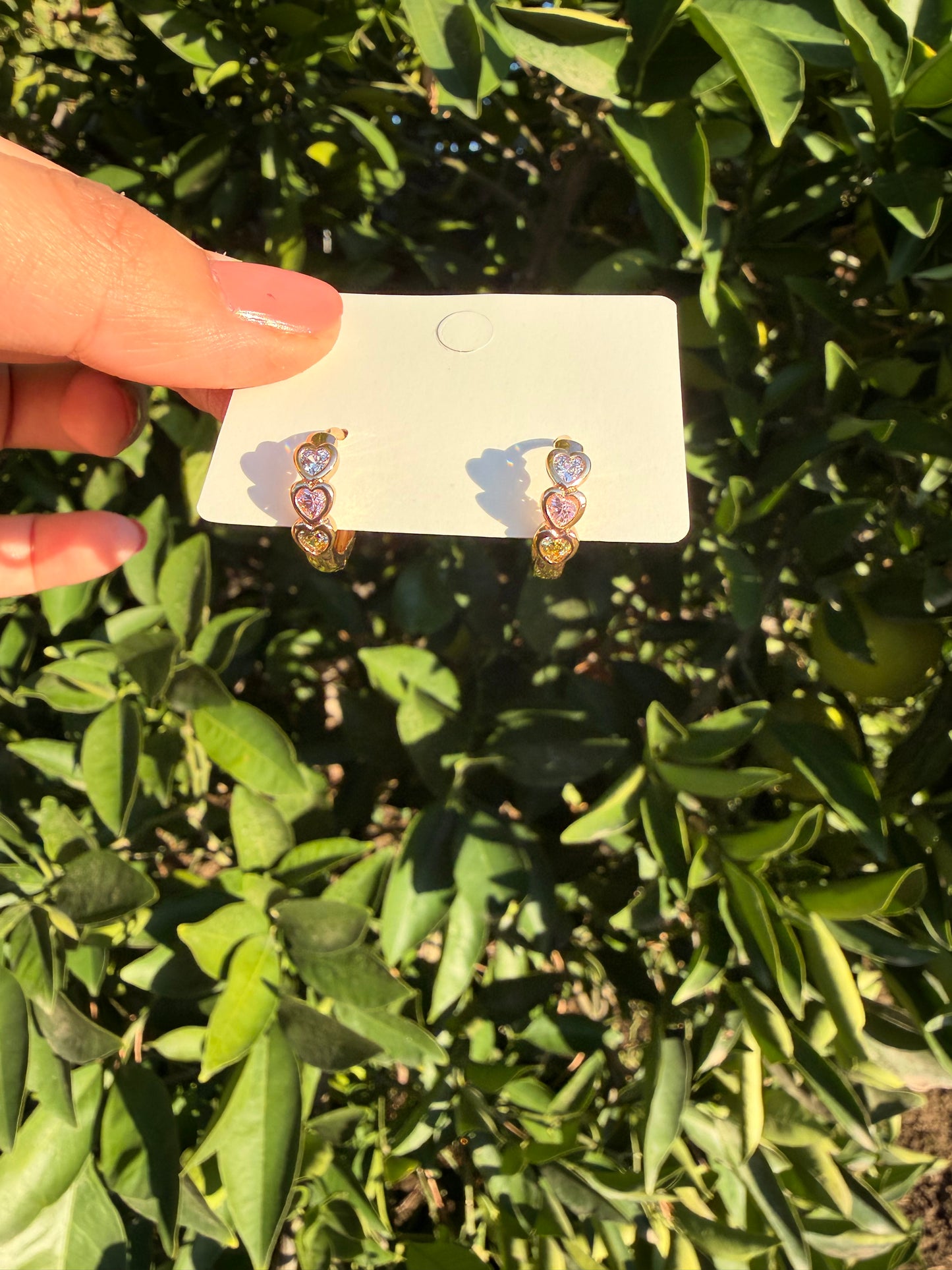 Heart Earrings