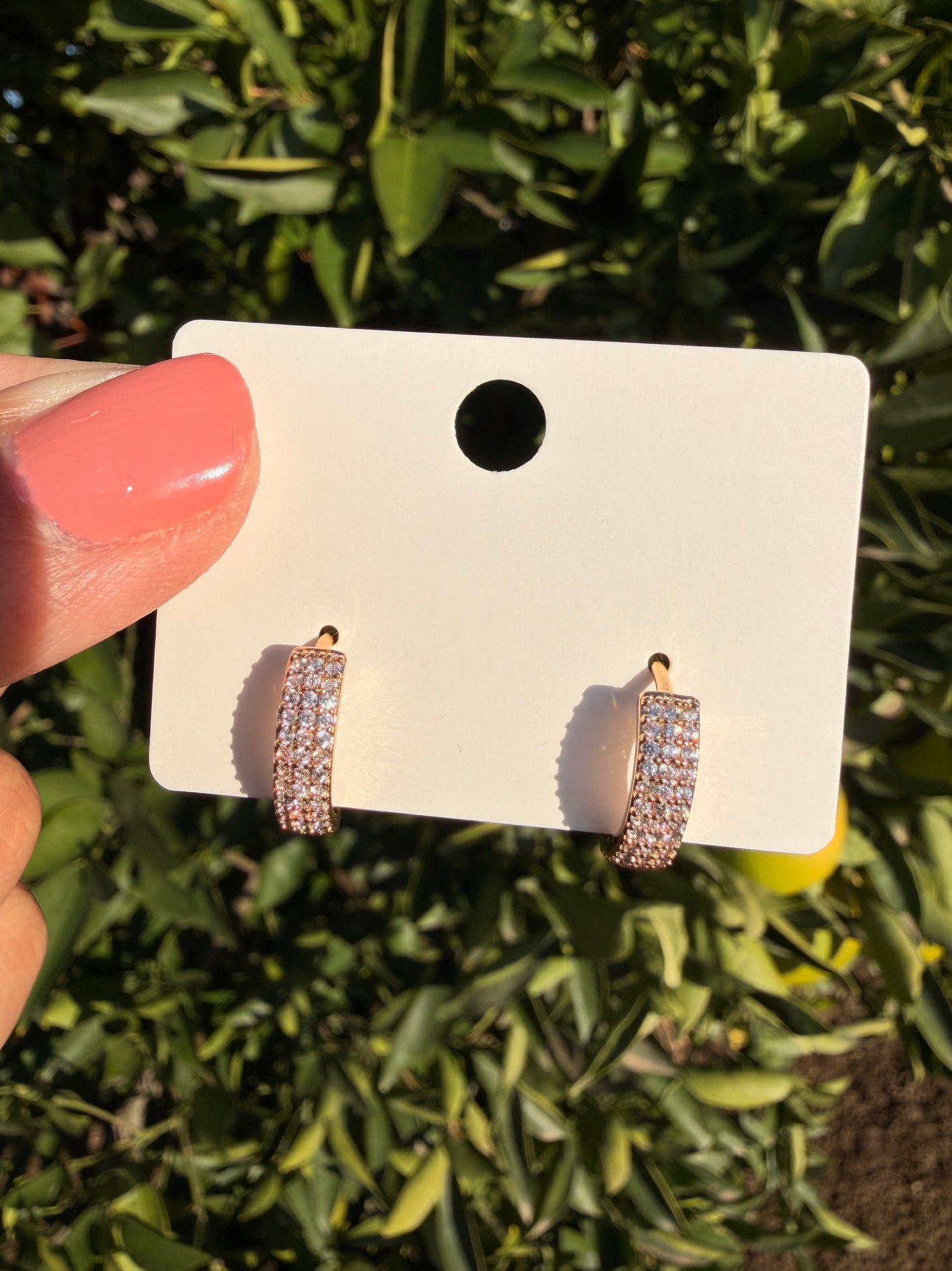 Earrings