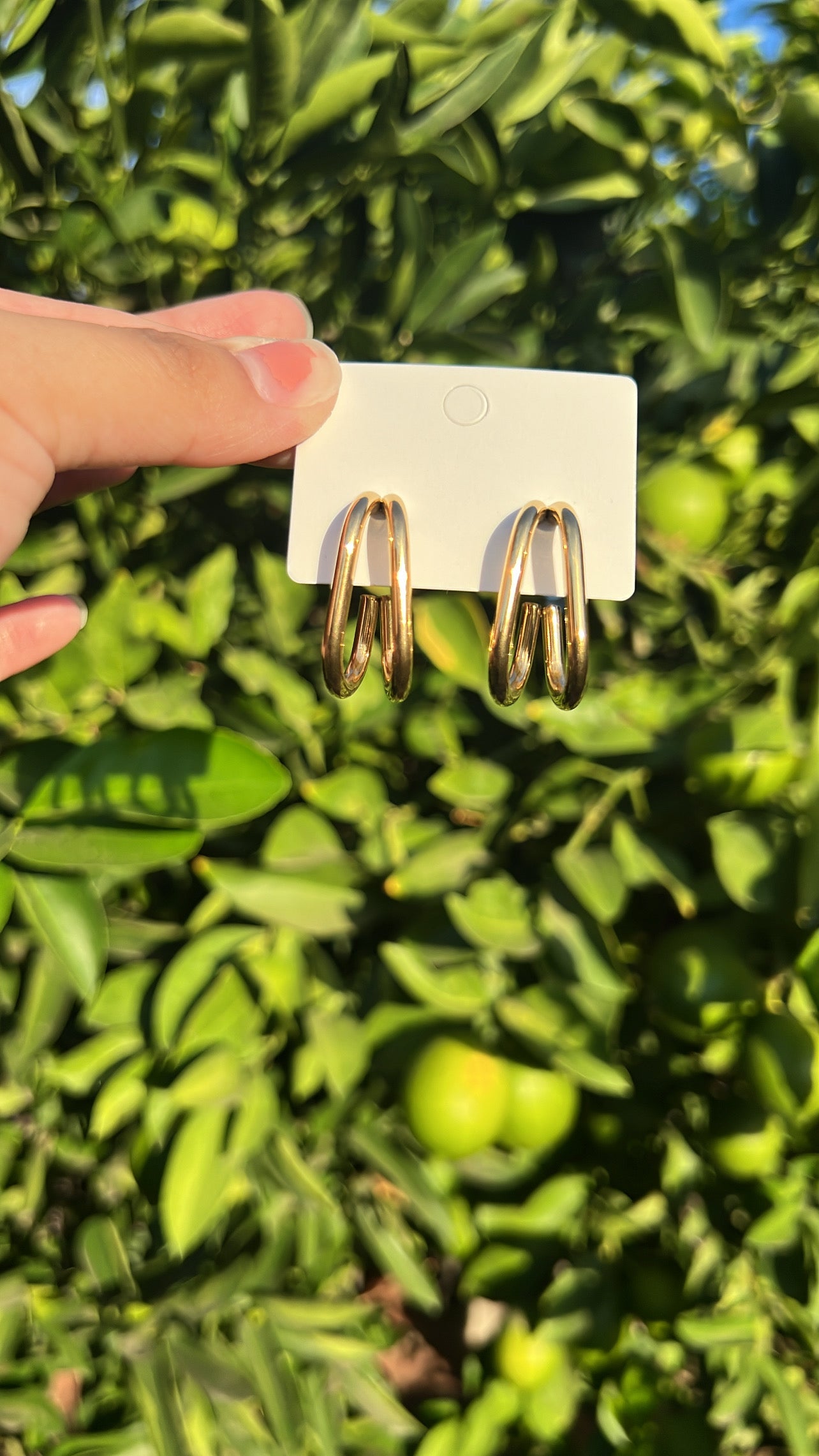 Earrings